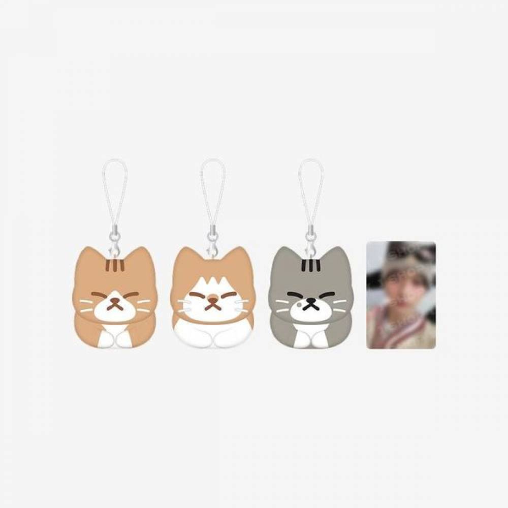 Stray Kids メンプロ グッズ スンドゥンドリ STRAY KIDS OFFICIAL 'DOMINATE : CELEBRATE' SOON-DOONG-DORI KEYRING